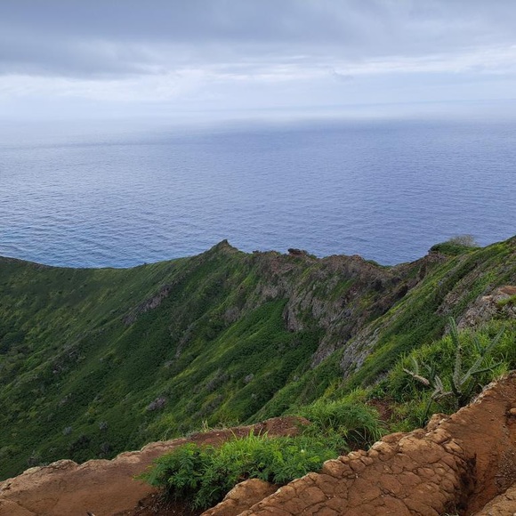 Meet your Posher, Kate - Picture 1 of 1